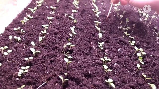 Сделайте это обязательно! Положение дел на 13.01.22