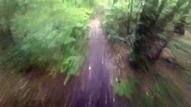 На крест через лес
