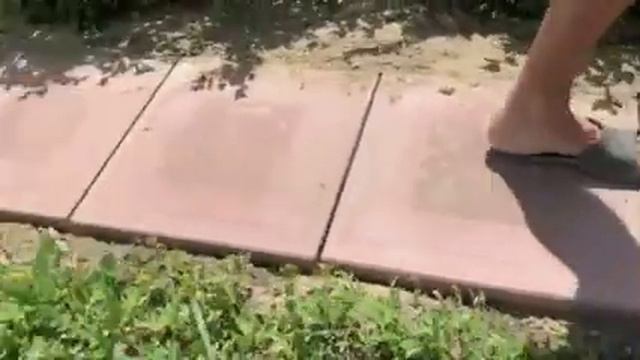Делаем дорожки на участке из плитки