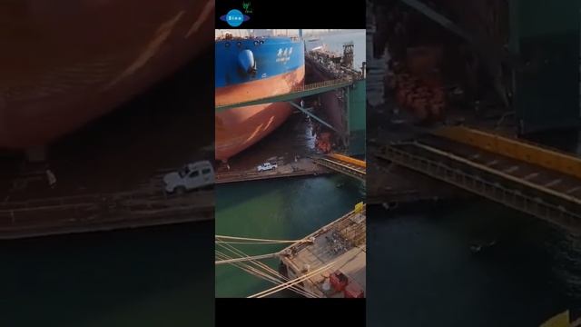 Compared with the ship, people are too small./Sinooutput