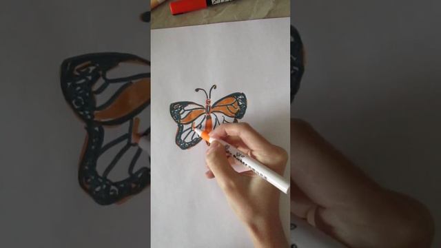 Lettering and doodle art - butterfly #леттеринг #lettering #brushpen #calligraphy #брашпен
