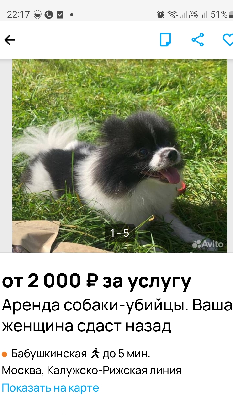Юмористы Авито😆 часть 13