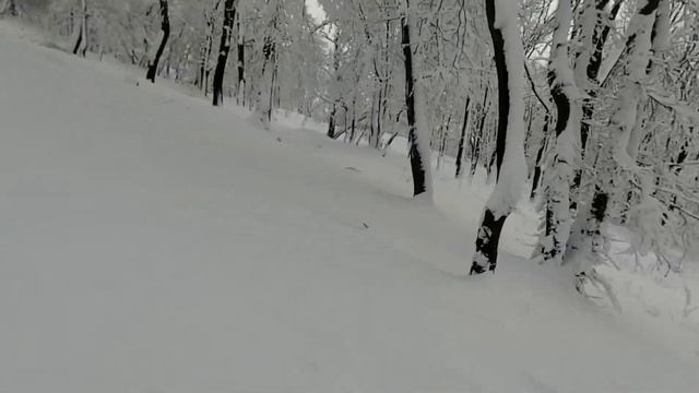 Тест камеры YI lite "Зима"