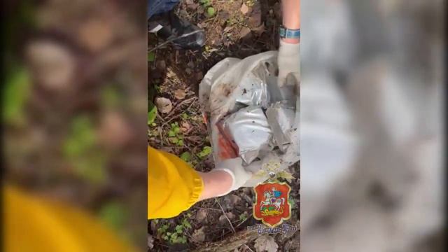 Полиция Подмосковья задержала жителя Екатеринбурга, спрятавшего пакеты с гашишем в лесу у д. Голубое