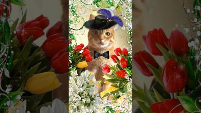 Рыжик поздравляет милых женщин с 8 Марта! #8марта #расивоепоздравление #funnycats #cat