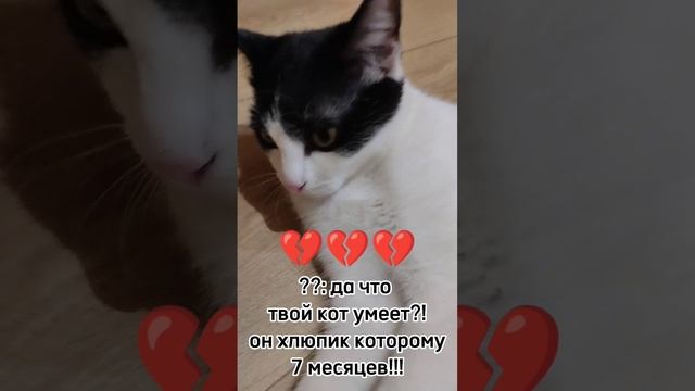 вот такие мы)) показал кто тут главный.❤️?☺