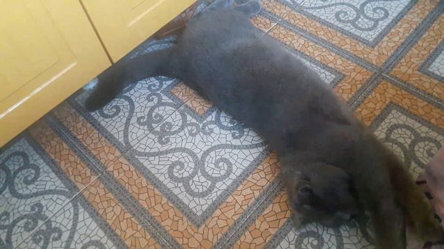 НЕ ЗНАЮ ЧЕМ СЕБЯ ЗАНЯТЬ ВО ВРЕМЯ КАРАНТИНА