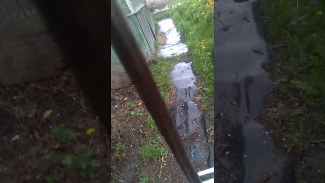 Дом, в котором живет мой кот!