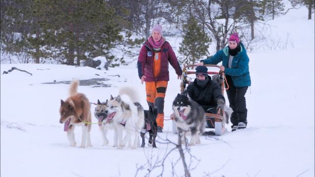 # 18 The polar night - dog sledding in the Arctic blue hour