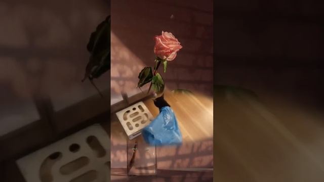 1 марта - День кошек в России