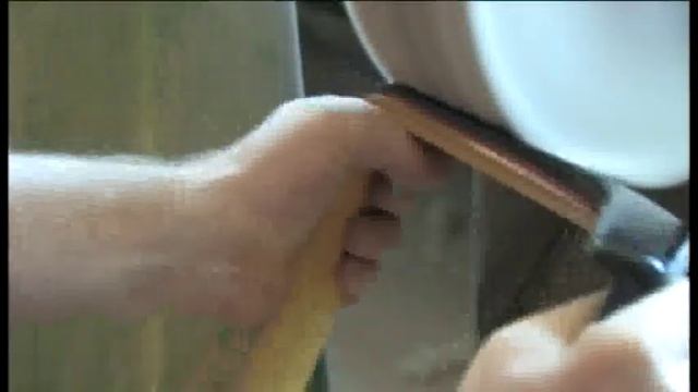 Delicia accordions