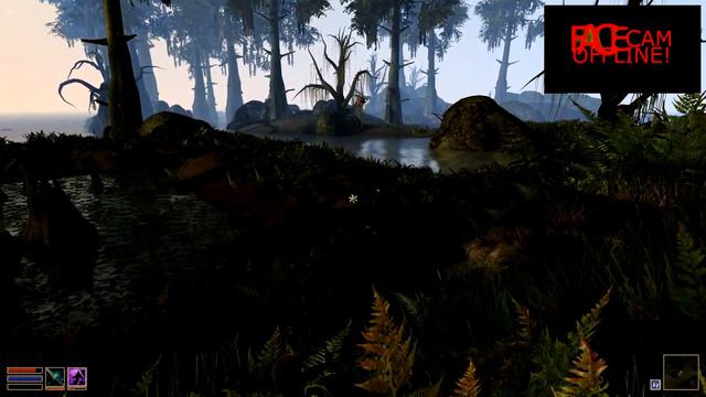 The Elderscrolls III Morrowind - #84 - 🏹Hunting and gathering 🏹around Seyda Neen!🏹