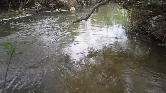 Релаксация  Лечебные Звуки Воды (Relax. Water. Spring. River)