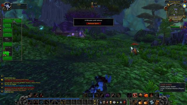 Warsong Gulch at Level 13