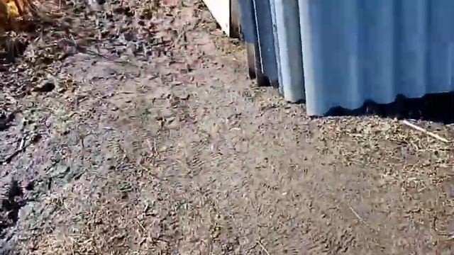 Утеплили второй этаж, навели бардак на территории! Вывод об инкубаторе ОВО 78.