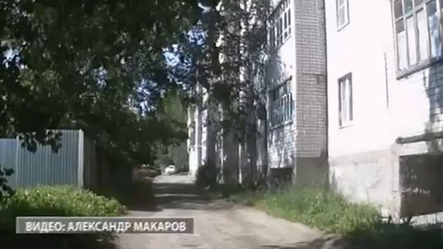 В Вологду зачастили лоси