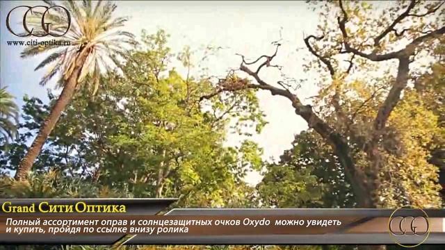 Смотреть очки солнцезащитные и оправы для очков Оксидо - Oxydo