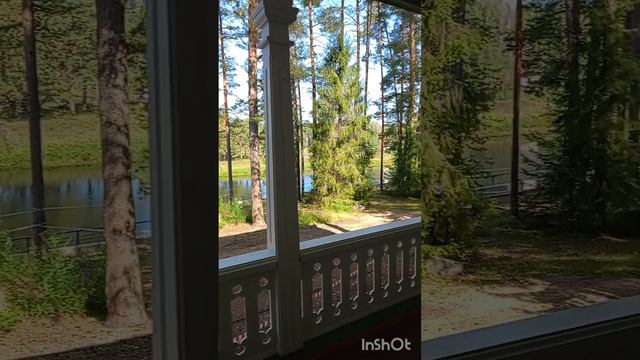 ОК Тетьково. Корпус Сосновый.