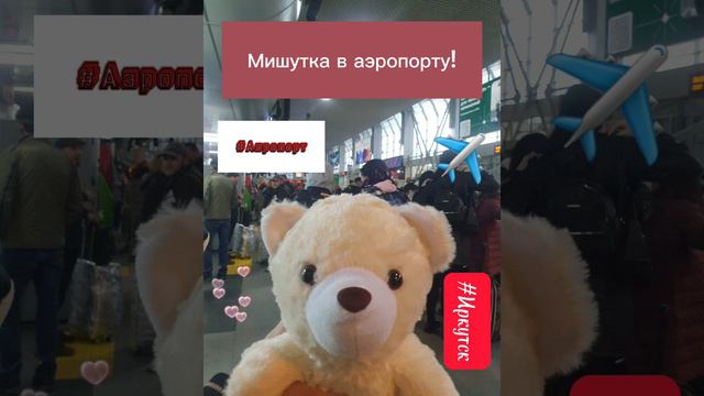 Мишутка в аэропорту!))))