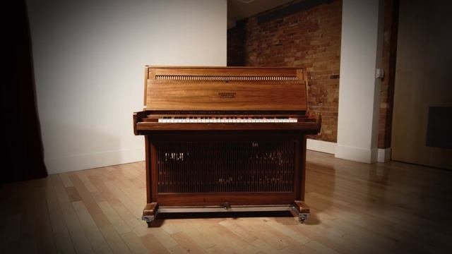 Introducing: The Celeste