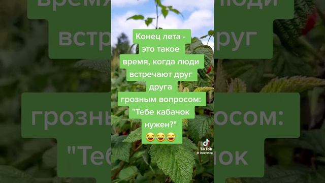 Как найти друзей летом
