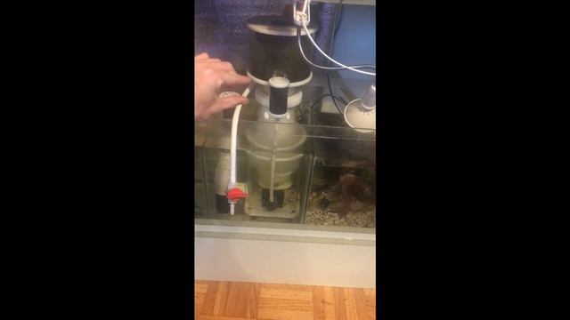 Reeftank SKIMMER How it Works