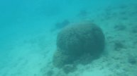 沖縄本島 南部海岸シュノーケリング1 Canon SX210IS
