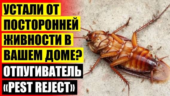 ⚫ Отпугиватель от мышей Электрокот