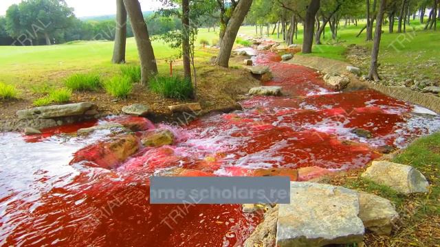 Chinese blood river truth stranger than fiction