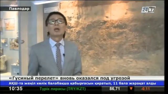 Уникальному памятнику гиппарионовой фауны в Павлодаре грозит исчезновение