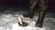 Оставил жерлицы на ночь! Щука на жерлицы.