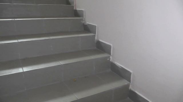 Декоративный ремонт подъезда на ул. Жукова, д. 6