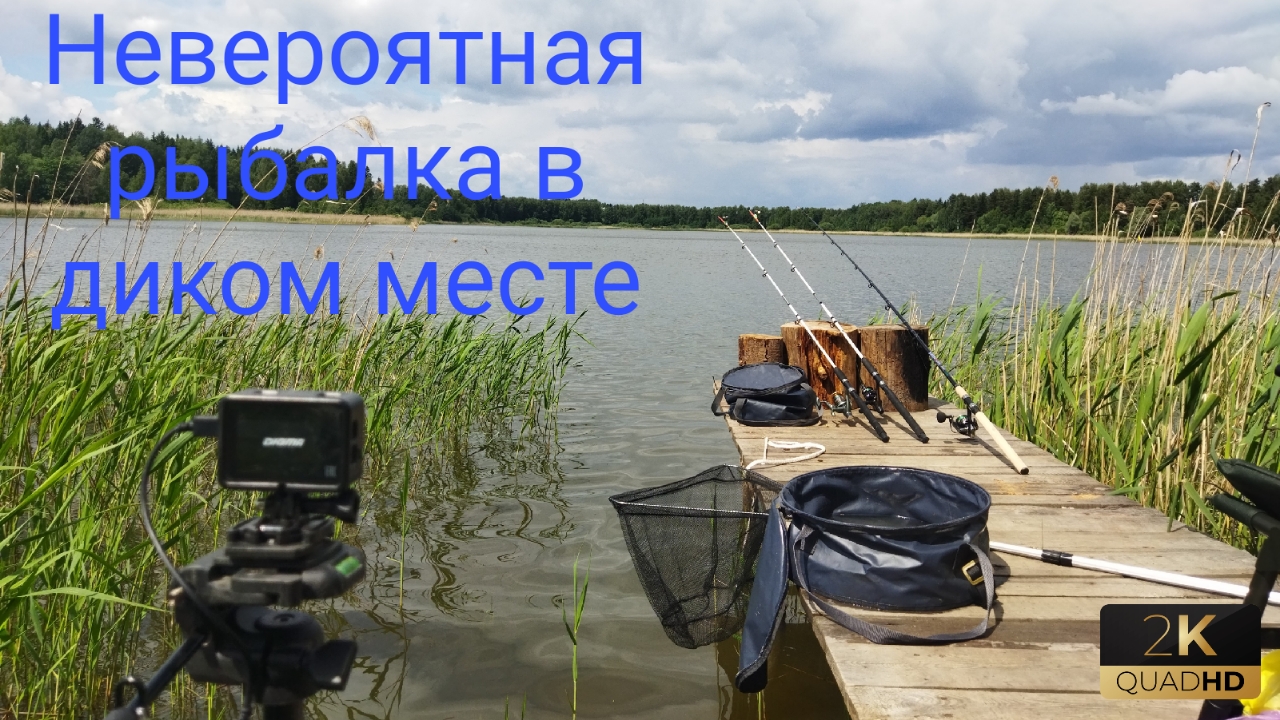 Рыбалка в диком месте. Рыболовные приключения. Рыбалка в под Московье.