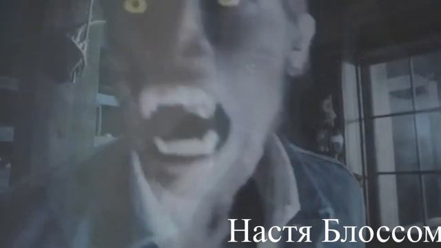 Дневники Вампира & Волчонок ( вампиры US оборотни)- blood in the cut