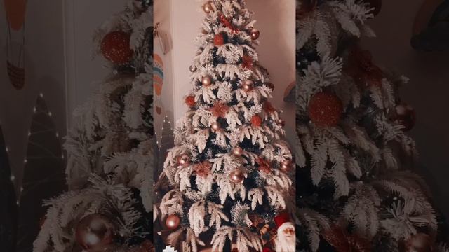 VID_20231101_221743_094.mp4.mov