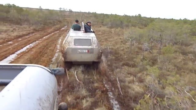 Вездеход 8х8 Соломономобиль-5, Васюганское болото, рям у оз. Белое