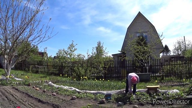 На даче. Спилил один орех. Ремонтирую летний душ. Едем в Бернады.Vlog.Брест