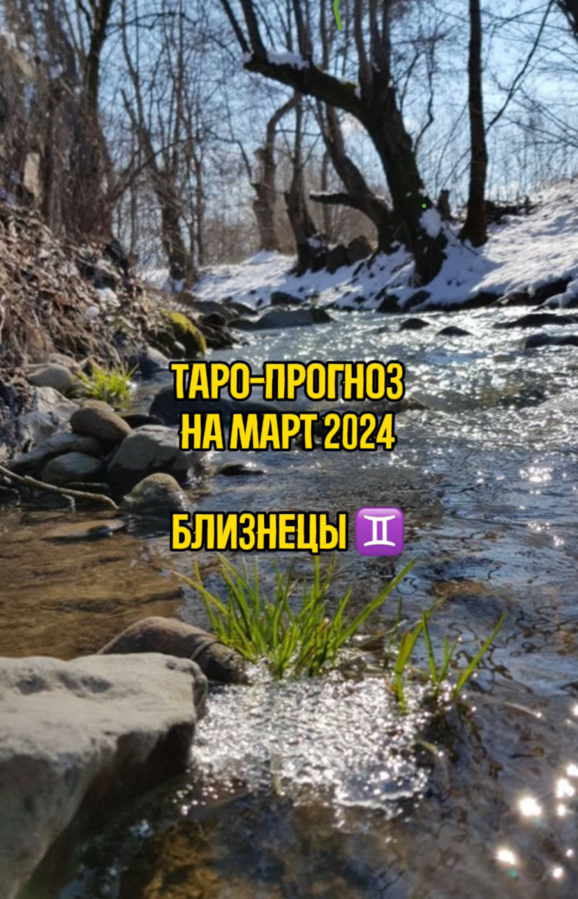Таро - прогноз на Март 2024 - знак Близнецы
