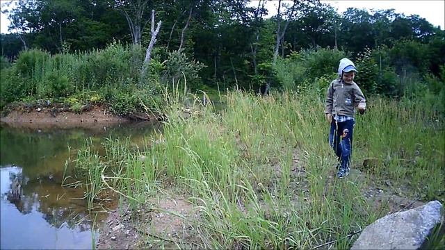 ДЕРЕВЯННАЯ ПУШКА СТРЕЛЯЕТ КЛЕВЕРОМ