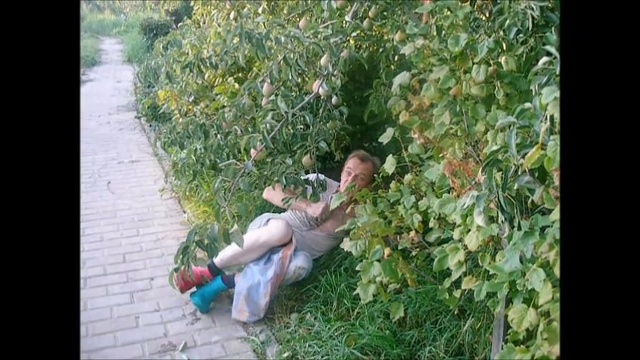 Говорят ЧТО..