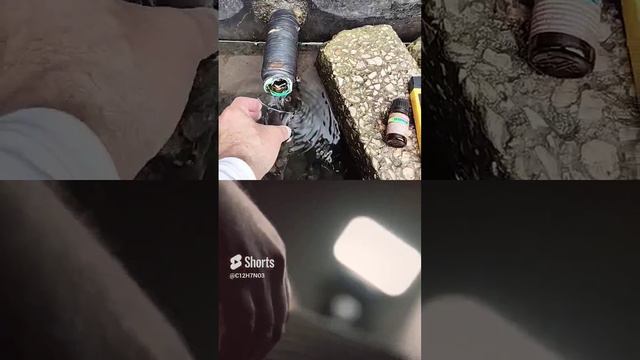 царский родник с кислым уровнем  рН ☹️ 60.019831, 30.330710