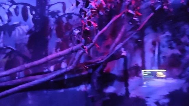 VID_20230528_164936.mp4