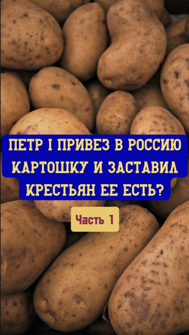 Петр I привез в Россию картошку и заставил крестьян ее есть? Часть 1.
