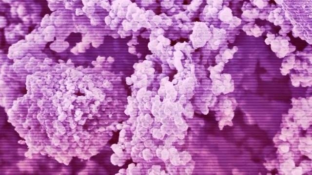 NFT#Science&Art