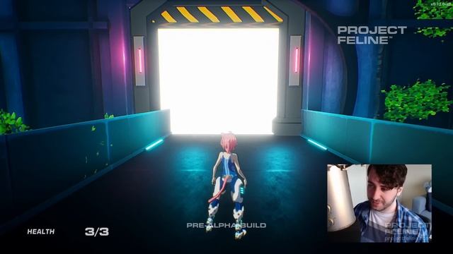 Indie Game Funding Is a Nightmare | Project Feline Devlog