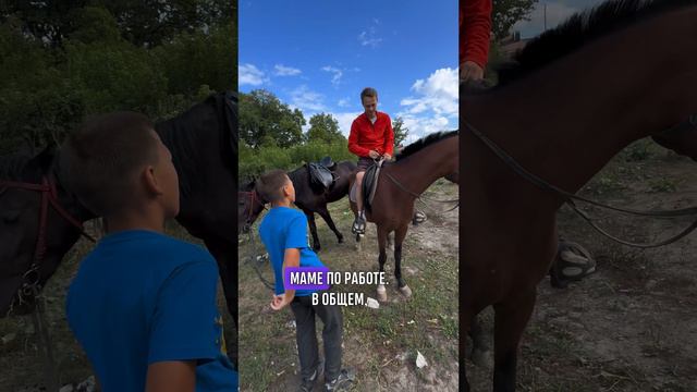 Летом можно и на лошадях покататься 🐎