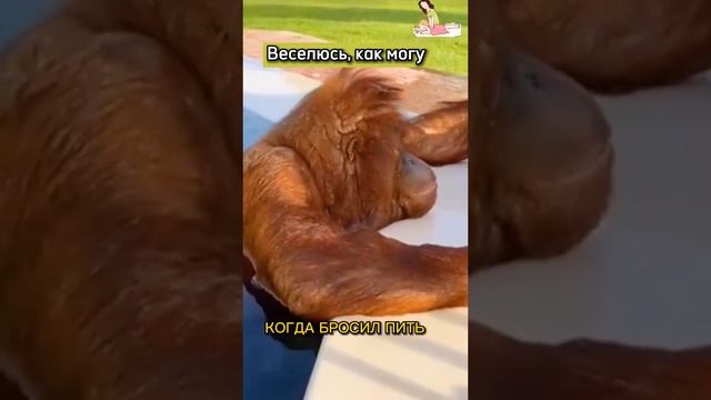 Когда бросил пить