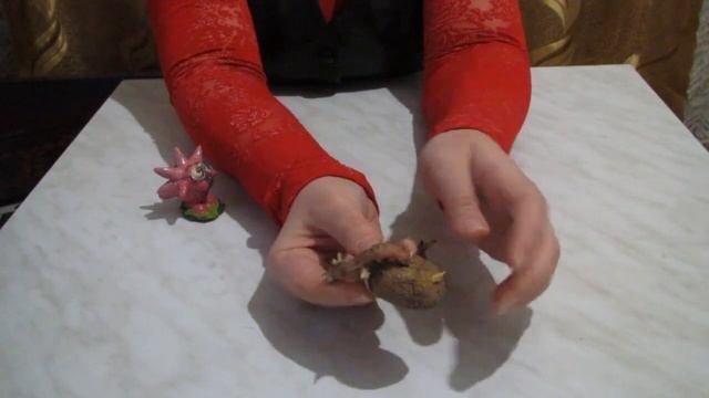 Как без хлопот вырастить ранний урожай картофеля