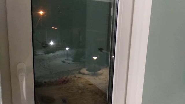 Домовёнок Алиса - первое общение про поумнение дома