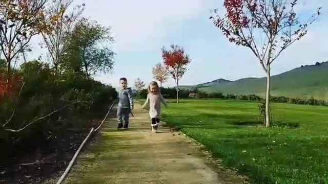 Самокаты в парке